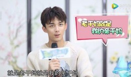 娱乐圈吃瓜吴磊,青春偶像的甜蜜与苦涩