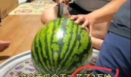 韩国人免费吃瓜视频