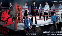 电视剧拳王在线观看,热血激战，荣耀归来