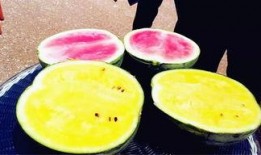 网红网爆吃瓜,揭秘娱乐圈幕后真相