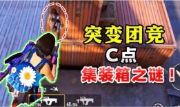 鸡哥最新爆料视频下载,揭秘娱乐圈惊人内幕！